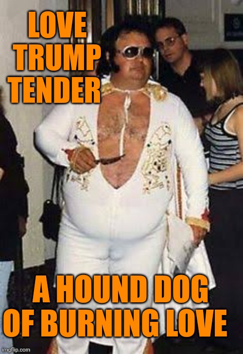 Fat elvis | LOVE TRUMP TENDER A HOUND DOG
OF BURNING LOVE | image tagged in fat elvis | made w/ Imgflip meme maker