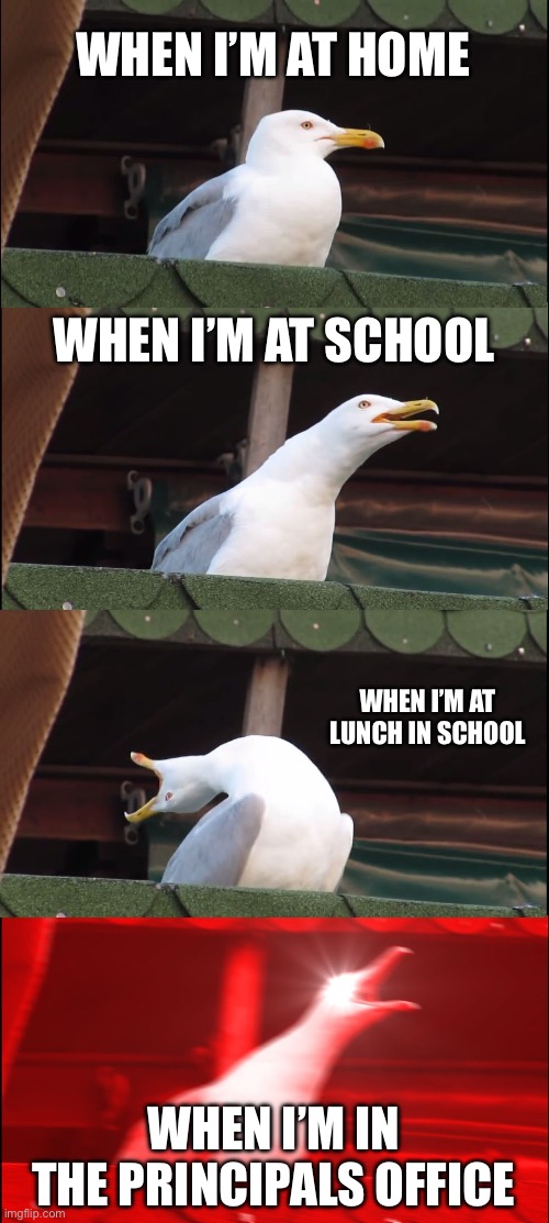 School be like | WHEN I’M AT HOME; WHEN I’M AT SCHOOL; WHEN I’M AT LUNCH IN SCHOOL; WHEN I’M IN THE PRINCIPALS OFFICE | image tagged in memes,inhaling seagull | made w/ Imgflip meme maker