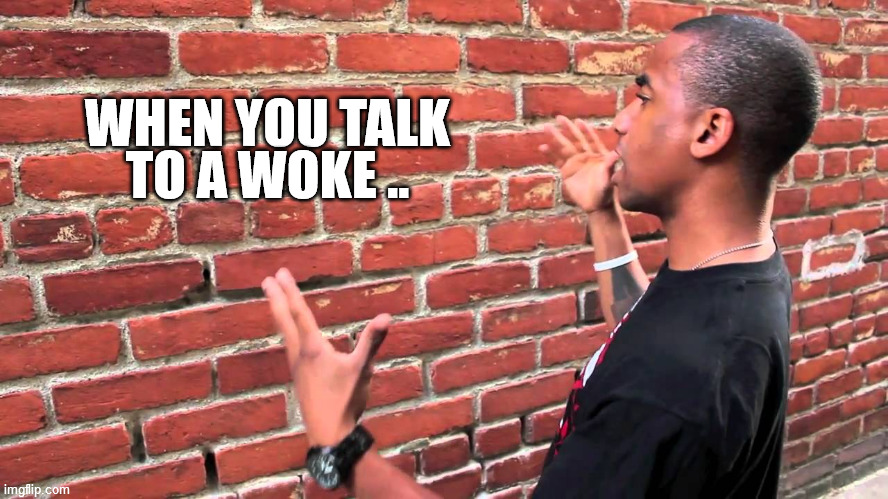 Talking to wall | WHEN YOU TALK TO A WOKE .. | image tagged in talking to wall | made w/ Imgflip meme maker