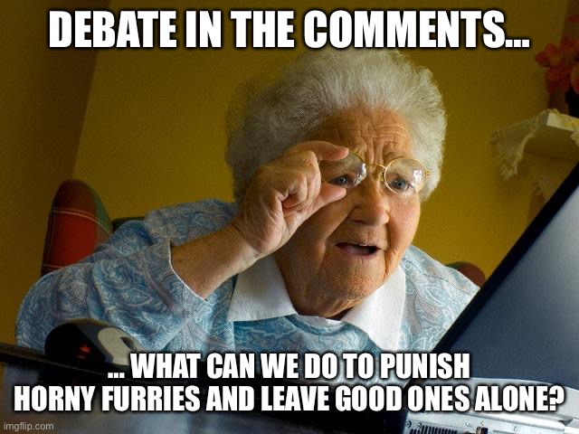 Sponsored by the Holy Crusader Party | DEBATE IN THE COMMENTS…; … WHAT CAN WE DO TO PUNISH HORNY FURRIES AND LEAVE GOOD ONES ALONE? | image tagged in memes,grandma finds the internet | made w/ Imgflip meme maker