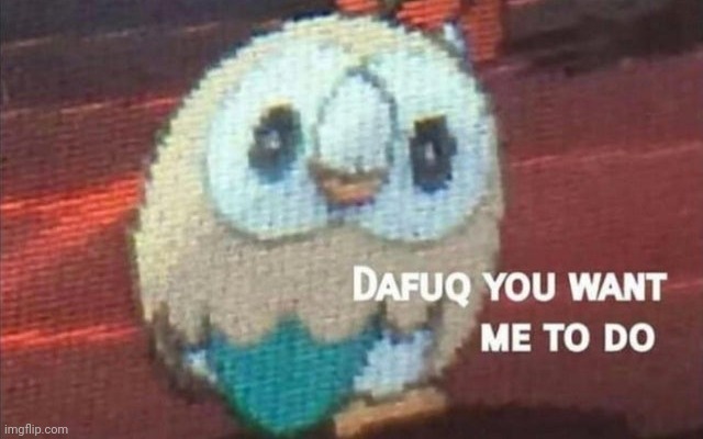 Rowlet looking back | image tagged in rowlet looking back | made w/ Imgflip meme maker