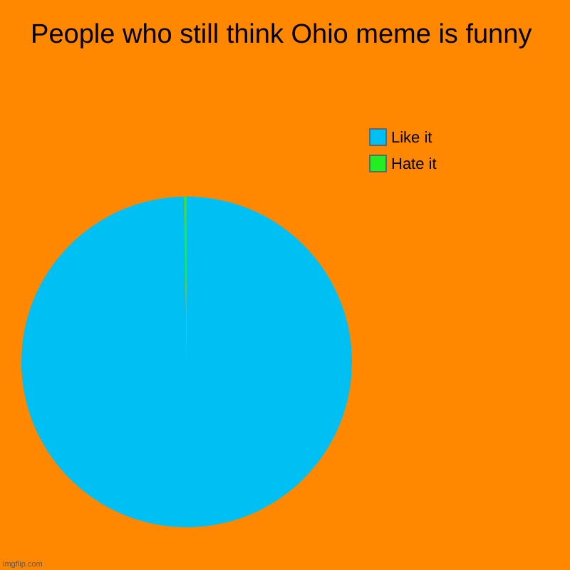People who still think Ohio meme is funny | Hate it, Like it | image tagged in charts,pie charts | made w/ Imgflip chart maker
