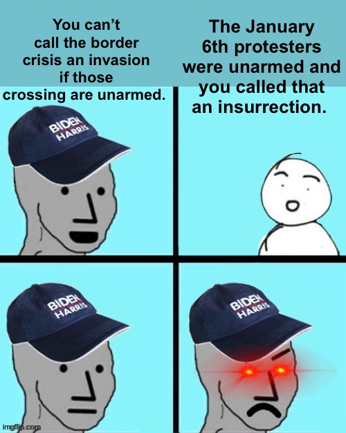 Unarmed invasion vs unarmed insurrection | The January 6th protesters were unarmed and you called that an insurrection. You can’t call the border crisis an invasion if those crossing are unarmed. | image tagged in blue hat npc,politics lol,funny memes | made w/ Imgflip meme maker