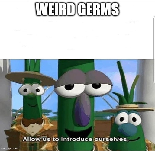 Allow us to introduce ourselves | WEIRD GERMS | image tagged in allow us to introduce ourselves | made w/ Imgflip meme maker