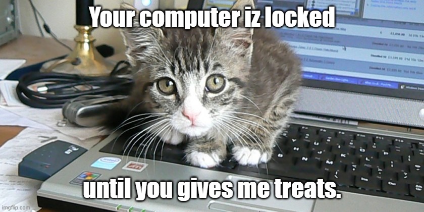 Your computer iz locked until you gives me treats. | made w/ Imgflip meme maker