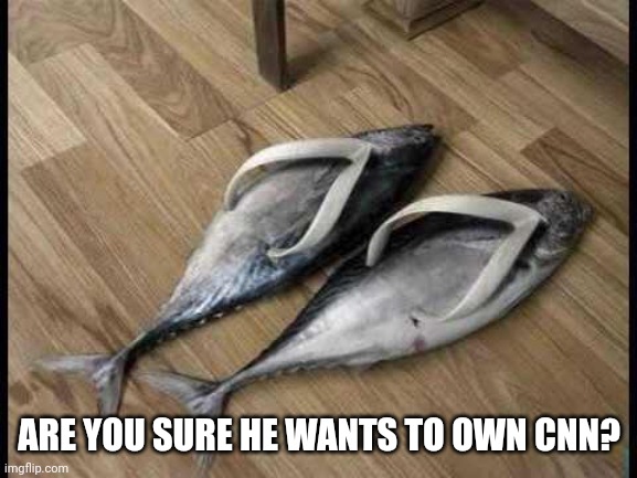 Fish Flops | ARE YOU SURE HE WANTS TO OWN CNN? | image tagged in fish flops | made w/ Imgflip meme maker