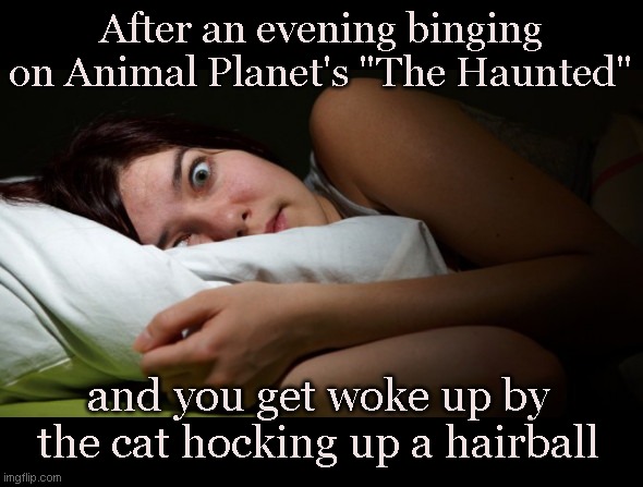 Dreadful Things | After an evening binging on Animal Planet's "The Haunted"; and you get woke up by the cat hocking up a hairball | image tagged in night terror,animal planet,the haunted,pets,funny,humor | made w/ Imgflip meme maker
