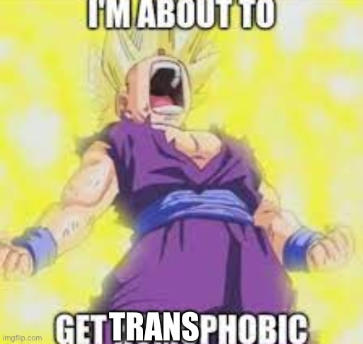 bruh | TRANS | image tagged in gohan homophobic | made w/ Imgflip meme maker