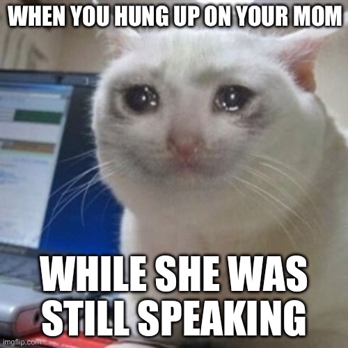 This just hurts me...? | WHEN YOU HUNG UP ON YOUR MOM; WHILE SHE WAS STILL SPEAKING | image tagged in crying cat | made w/ Imgflip meme maker