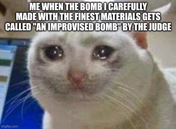 Sad cat | ME WHEN THE BOMB I CAREFULLY MADE WITH THE FINEST MATERIALS GETS CALLED "AN IMPROVISED BOMB" BY THE JUDGE | image tagged in sad cat | made w/ Imgflip meme maker