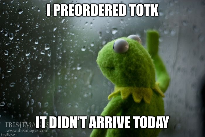 Sad. | I PREORDERED TOTK; IT DIDN’T ARRIVE TODAY | image tagged in kermit window | made w/ Imgflip meme maker