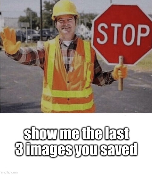 couldn't find the og meme checkpoint image (also don't ask for mine please) | show me the last 3 images you saved | image tagged in checkpoint | made w/ Imgflip meme maker