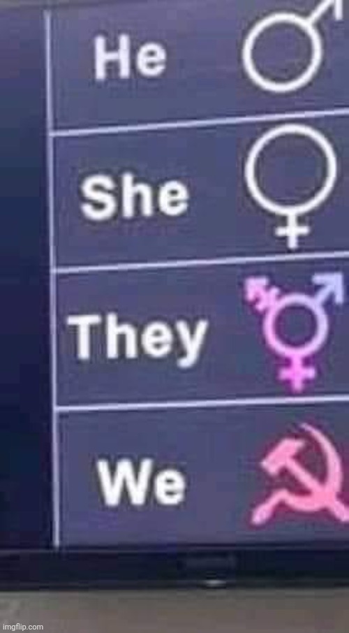 Like my new gender? (Do not take offense) | image tagged in he she they we | made w/ Imgflip meme maker