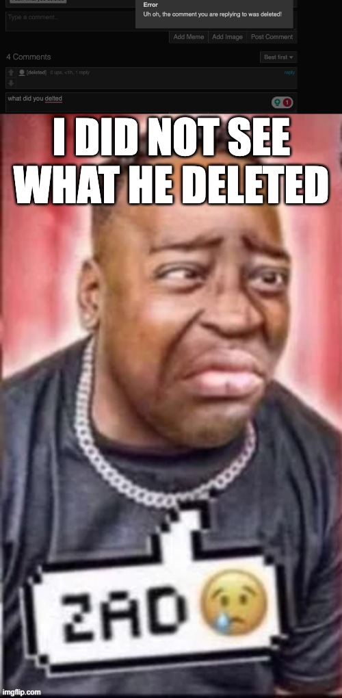 I DID NOT SEE WHAT HE DELETED | image tagged in zad | made w/ Imgflip meme maker