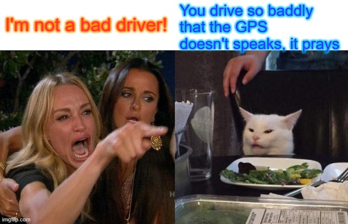 I confirm | You drive so baddly that the GPS doesn't speaks, it prays; I'm not a bad driver! | image tagged in memes,woman yelling at cat | made w/ Imgflip meme maker