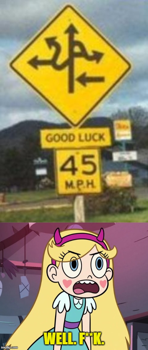 WELL. F**K. | image tagged in star butterfly frustrated,you had one job,star vs the forces of evil,memes | made w/ Imgflip meme maker