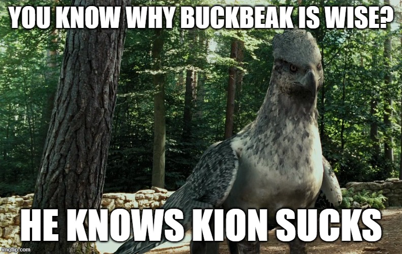 Wise Buckbeak | YOU KNOW WHY BUCKBEAK IS WISE? HE KNOWS KION SUCKS | image tagged in wise buckbeak | made w/ Imgflip meme maker