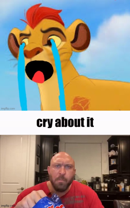 image tagged in extreme crying kion crybaby,cry about it | made w/ Imgflip meme maker