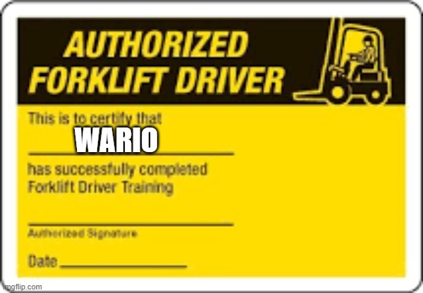 WARIO | image tagged in forklift certificate by timfili1 1986 | made w/ Imgflip meme maker