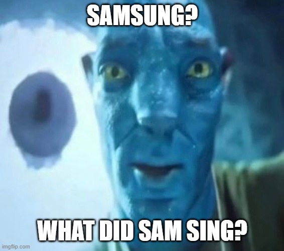 Avatar guy | SAMSUNG? WHAT DID SAM SING? | image tagged in avatar guy | made w/ Imgflip meme maker