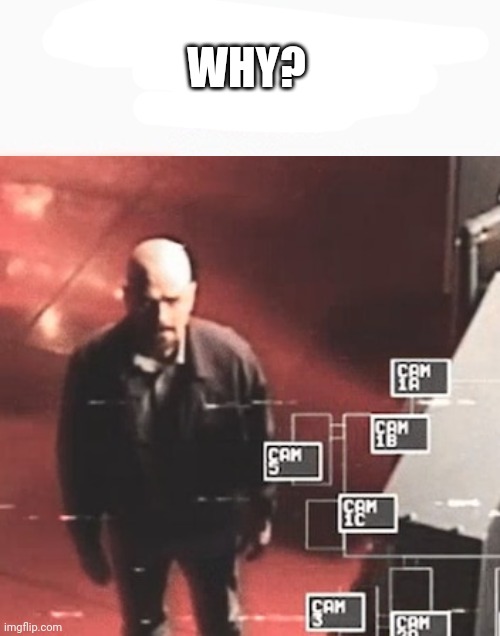 i saw what you deleted | WHY? | image tagged in i saw what you deleted | made w/ Imgflip meme maker