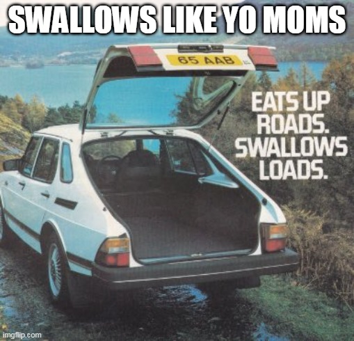 Swallows like yo moms | SWALLOWS LIKE YO MOMS | image tagged in car,funny,mom,mothers day,loads | made w/ Imgflip meme maker