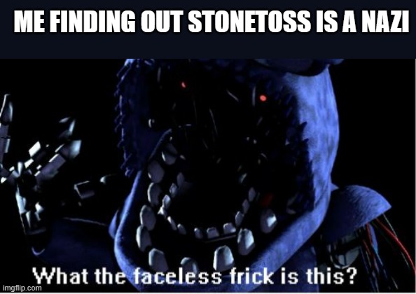 Wtf | ME FINDING OUT STONETOSS IS A NAZI | image tagged in what the faceless frick is this withered bonnie,wtf | made w/ Imgflip meme maker