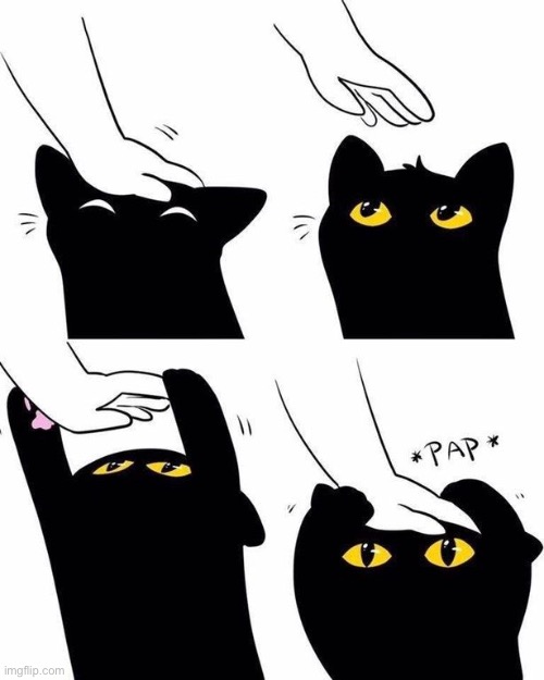 cat headpat meme | image tagged in cat headpat meme | made w/ Imgflip meme maker