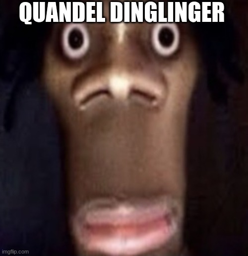 goofy ahh man | QUANDEL DINGLINGER | image tagged in quandale dingle | made w/ Imgflip meme maker