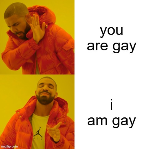 Drake Hotline Bling Meme | you are gay i am gay | image tagged in memes,drake hotline bling | made w/ Imgflip meme maker