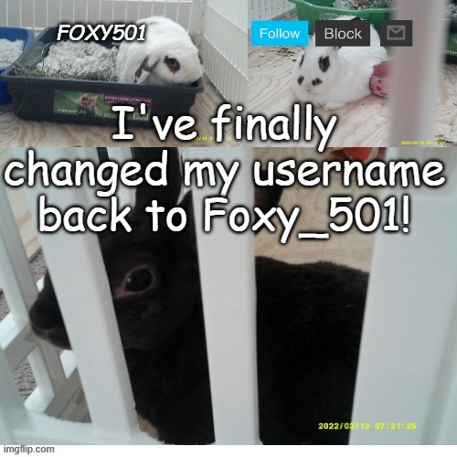 Foxy501 announcement template | I've finally changed my username back to Foxy_501! | image tagged in foxy501 announcement template | made w/ Imgflip meme maker