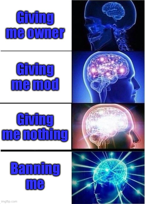 Expanding Brain Meme | Giving me owner; Giving me mod; Giving me nothing; Banning me | image tagged in memes,expanding brain | made w/ Imgflip meme maker