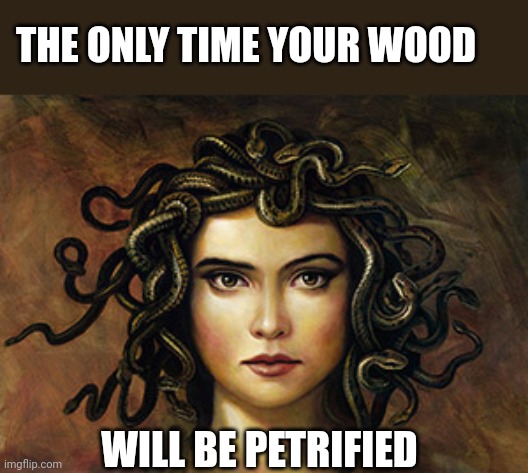 Medusa | THE ONLY TIME YOUR WOOD; WILL BE PETRIFIED | image tagged in medusa | made w/ Imgflip meme maker