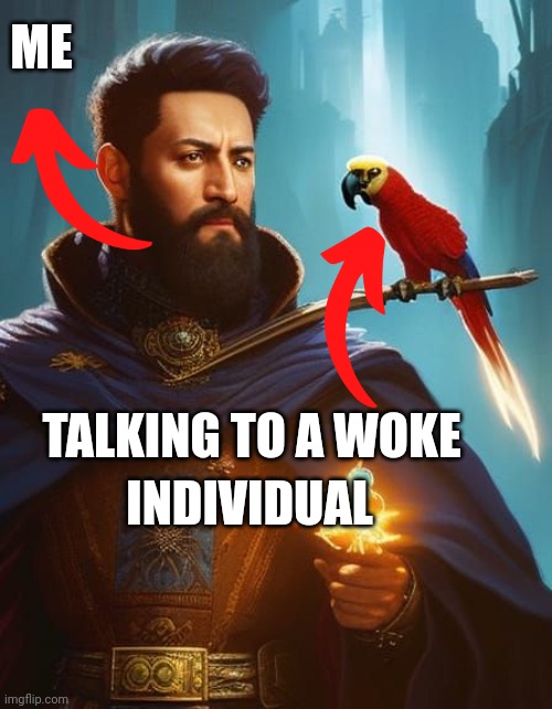 Wizard with Talking Parrot by Charles Moffat | TALKING TO A WOKE ME INDIVIDUAL | image tagged in wizard with talking parrot by charles moffat | made w/ Imgflip meme maker