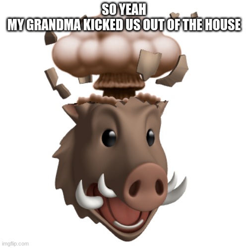 Boar Head explode | SO YEAH
MY GRANDMA KICKED US OUT OF THE HOUSE | image tagged in boar head explode | made w/ Imgflip meme maker