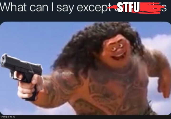 What can I say except delete this | STFU | image tagged in what can i say except delete this | made w/ Imgflip meme maker