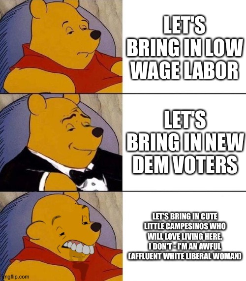 Best,Better, Blurst | LET'S BRING IN LOW WAGE LABOR; LET'S BRING IN NEW DEM VOTERS; LET'S BRING IN CUTE LITTLE CAMPESINOS WHO WILL LOVE LIVING HERE. I DON'T - I'M AN AWFUL (AFFLUENT WHITE LIBERAL WOMAN) | image tagged in best better blurst | made w/ Imgflip meme maker