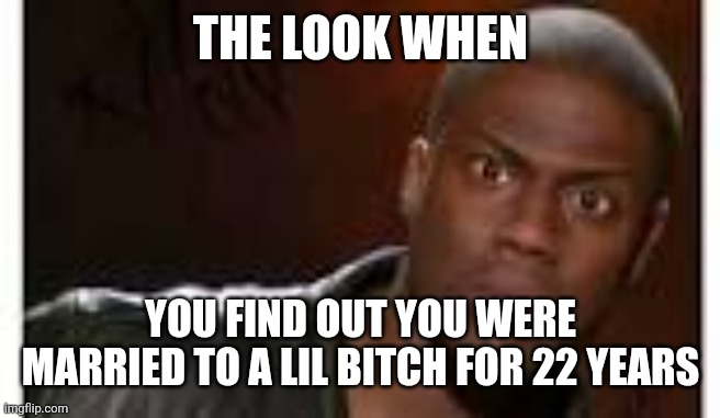 shocked face | THE LOOK WHEN; YOU FIND OUT YOU WERE MARRIED TO A LIL BITCH FOR 22 YEARS | image tagged in shocked face | made w/ Imgflip meme maker