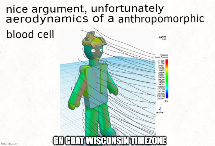 Hoonk shooo hooonk aerodynamics | GN CHAT WISCONSIN TIMEZONE | image tagged in aerodynamics of a anthropomorphic blood cell | made w/ Imgflip meme maker