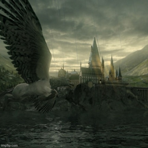 Used in comment | image tagged in buckbeak | made w/ Imgflip meme maker