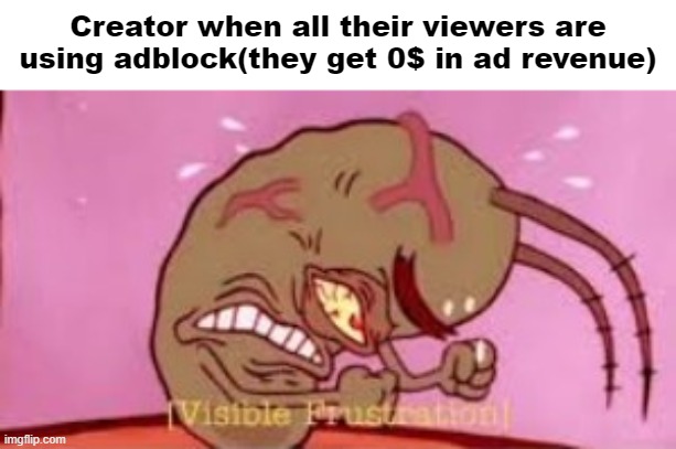 Visible Frustration | Creator when all their viewers are using adblock(they get 0$ in ad revenue) | image tagged in visible frustration,youtubers,ads,youtube ads,youtube | made w/ Imgflip meme maker