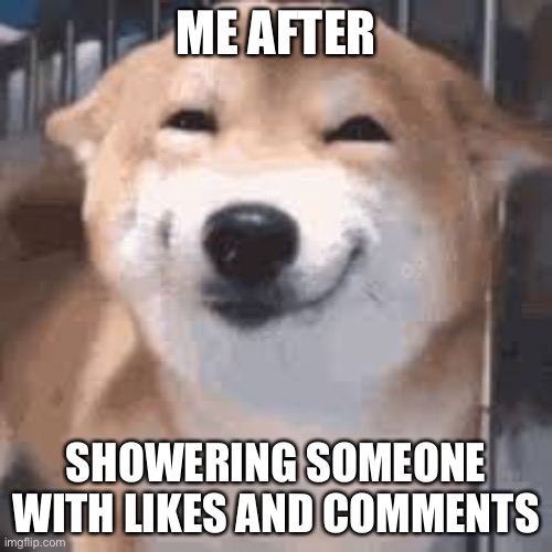 It feels good to be good | ME AFTER; SHOWERING SOMEONE WITH LIKES AND COMMENTS | image tagged in wholesome,dog | made w/ Imgflip meme maker