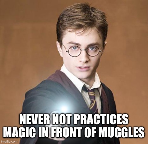 harry potter casting a spell | NEVER NOT PRACTICES MAGIC IN FRONT OF MUGGLES | image tagged in harry potter casting a spell | made w/ Imgflip meme maker