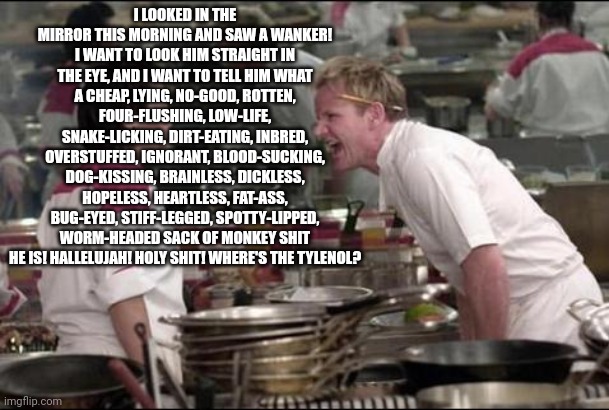 Angry Chef Gordon Ramsay Meme | I LOOKED IN THE MIRROR THIS MORNING AND SAW A WANKER! I WANT TO LOOK HIM STRAIGHT IN THE EYE, AND I WANT TO TELL HIM WHAT A CHEAP, LYING, NO | image tagged in memes,angry chef gordon ramsay | made w/ Imgflip meme maker