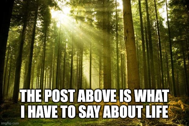 Ok | THE POST ABOVE IS WHAT I HAVE TO SAY ABOUT LIFE | image tagged in sunlit forest | made w/ Imgflip meme maker