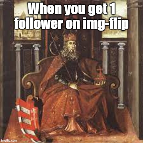 Having followers is for kings | When you get 1 follower on img-flip | image tagged in memes | made w/ Imgflip meme maker