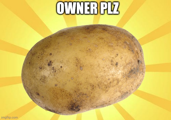 OWNER PLZ | made w/ Imgflip meme maker