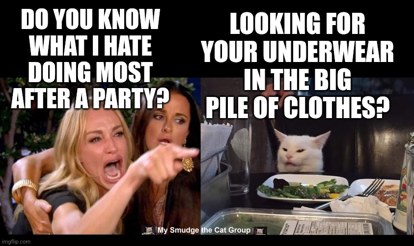 DO YOU KNOW WHAT I HATE DOING MOST AFTER A PARTY? LOOKING FOR YOUR UNDERWEAR IN THE BIG PILE OF CLOTHES? | image tagged in smudge the cat | made w/ Imgflip meme maker