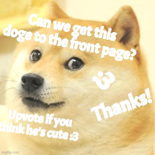 Help doge get to the front page | Can we get this doge to the front page? :3; Thanks! Upvote if you think he's cute :3 | image tagged in memes,doge | made w/ Imgflip meme maker