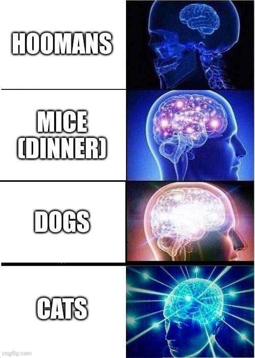 Expanding Brain | HOOMANS; MICE (DINNER); DOGS; CATS | image tagged in memes,expanding brain | made w/ Imgflip meme maker